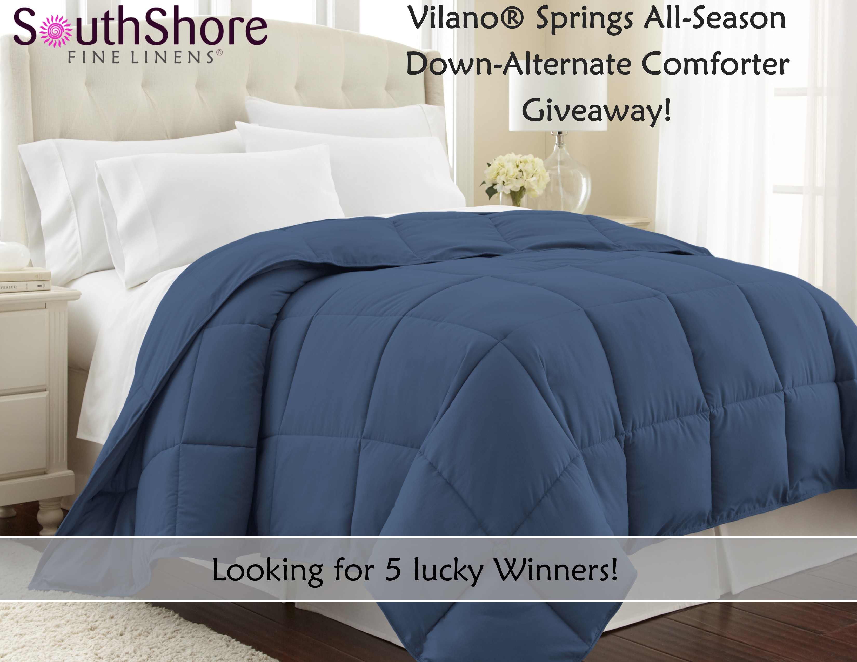 Black Friday Giveaway Five Winners Vilano Springs Down