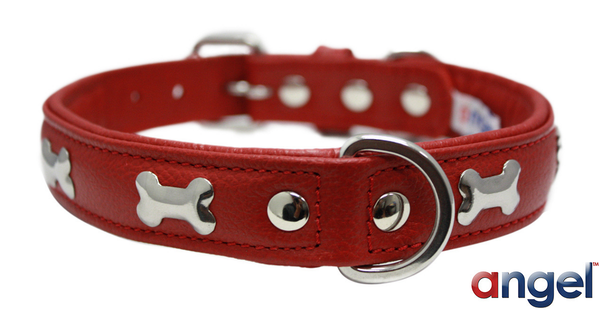 Angel Pet Supplies WIN an Angel Pet Classic Rotterdam Bones Red Dog